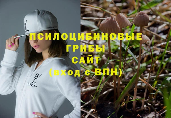 соль ск Бронницы