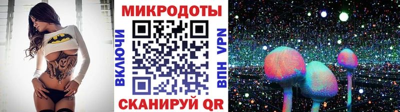 shop телеграм  omg как зайти  Брянск  закладки  Псилоцибиновые грибы GOLDEN TEACHER 